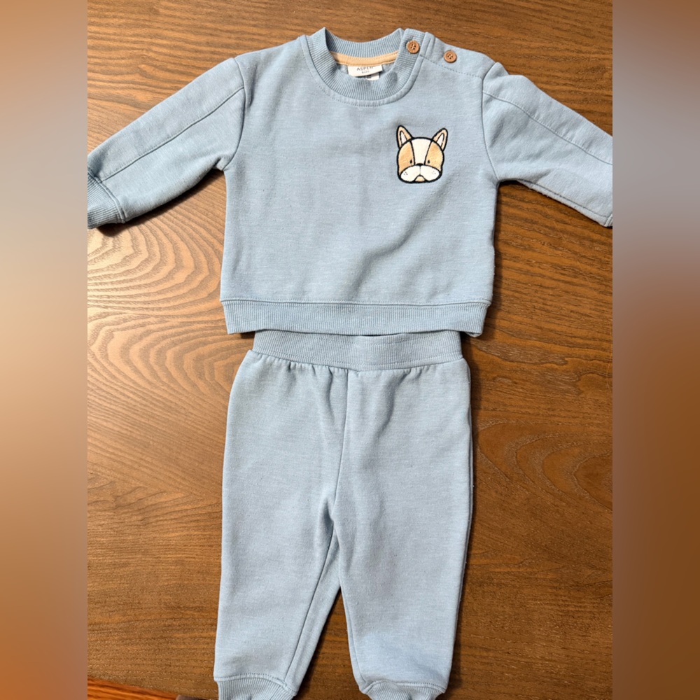 Baby Blue Kids Matching Set with Fox Patch